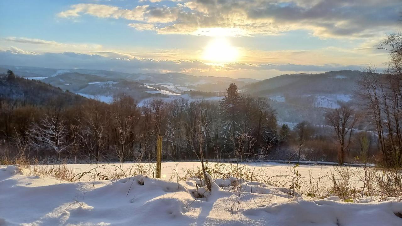 Ferienwohnung Sauerland Fernblick Olsberg Dış mekan fotoğraf