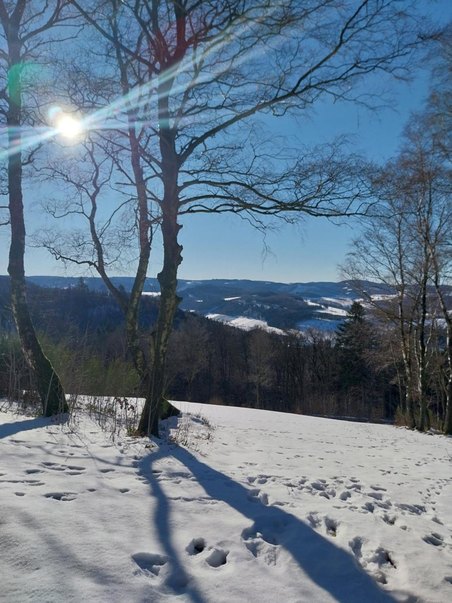 Ferienwohnung Sauerland Fernblick Olsberg Dış mekan fotoğraf