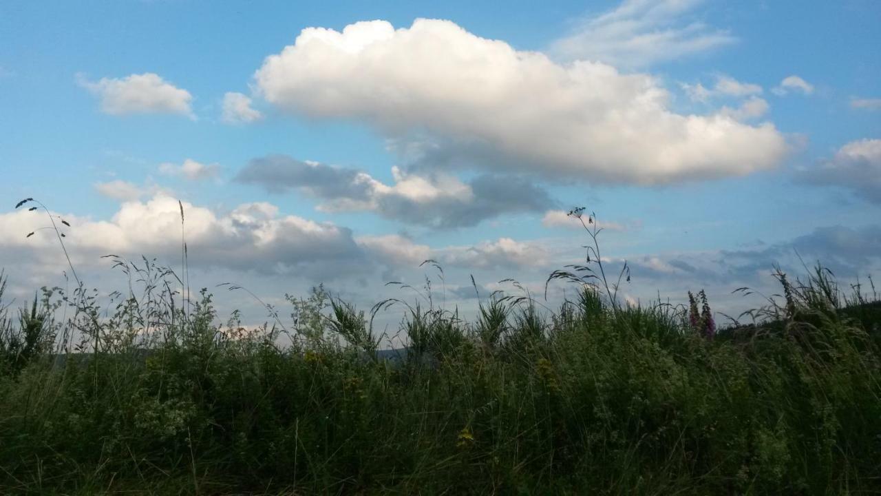 Ferienwohnung Sauerland Fernblick Olsberg Dış mekan fotoğraf